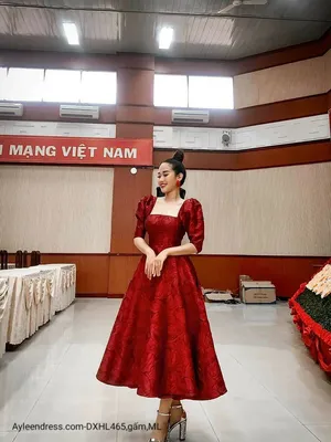 Đầm xoè gấm tay ngắn hở lưng