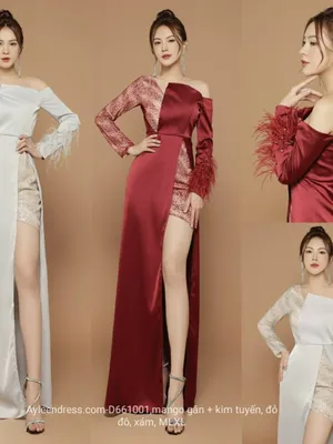 Đầm dạ hội tay dài đính lông vũ
