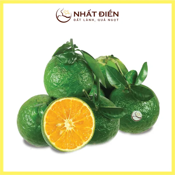 Cam Sành Nhất Điền