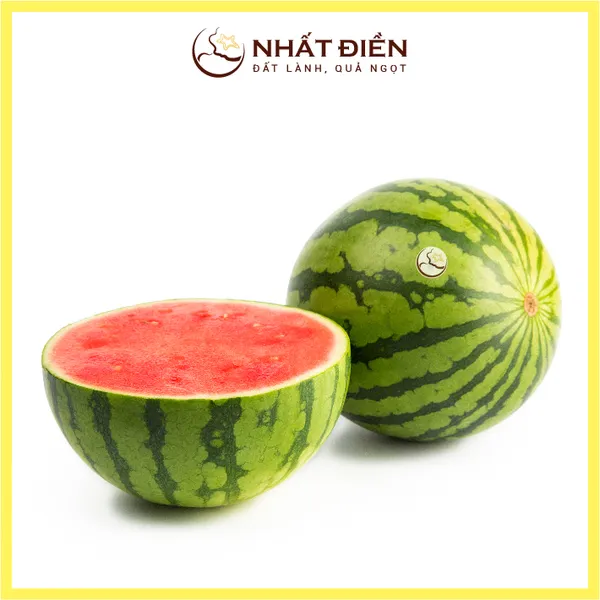 Dưa Không Hạt Nhất Điền