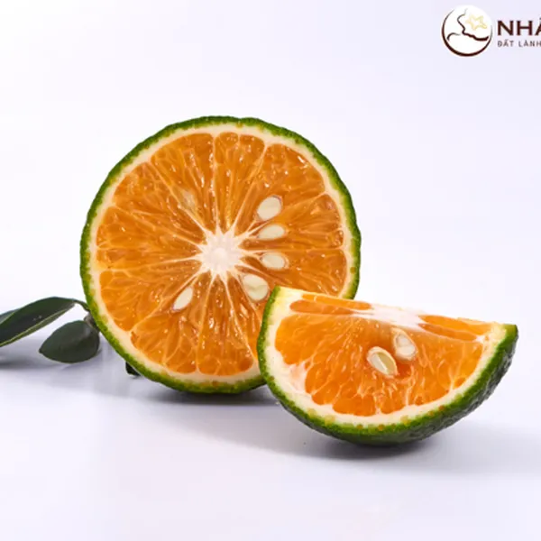 Cam Sành Nhất Điền