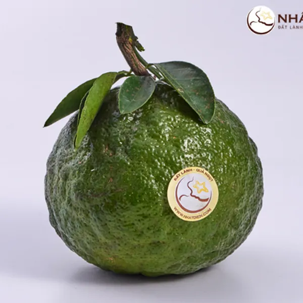 Cam Sành Nhất Điền