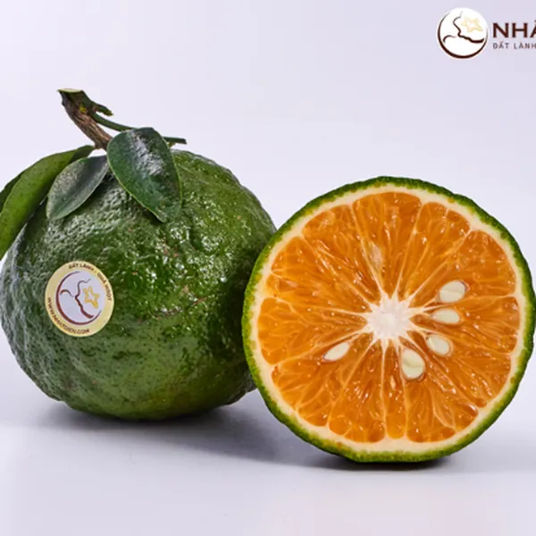 Cam Sành Nhất Điền