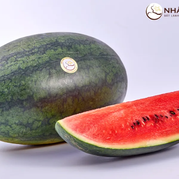 Dưa Hắc Mỹ Nhân Nhất Điền