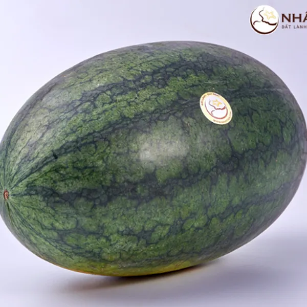 Dưa Hắc Mỹ Nhân Nhất Điền