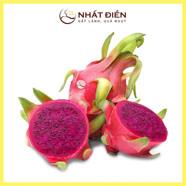 Thanh Long Ruột Đỏ Nhất Điền