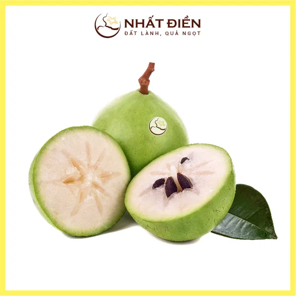 Vú Sữa Trắng Nhất Điền