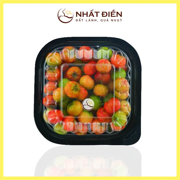 Sơ Ri Nhất Điền