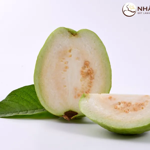 Ổi giống Đài Loan Nhất Điền