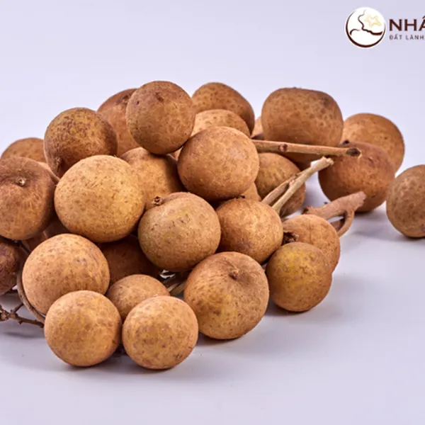 Nhãn Ido Nhất Điền