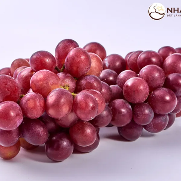 Nho Đỏ Nhất Điền