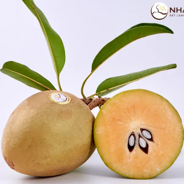 Hồng Xiêm Nhất Điền