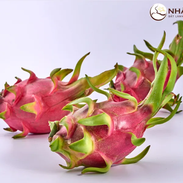 Thanh Long Ruột Trắng Nhất Điền