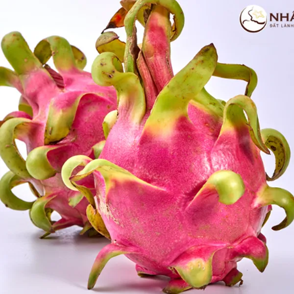 Thanh Long Ruột Đỏ Nhất Điền