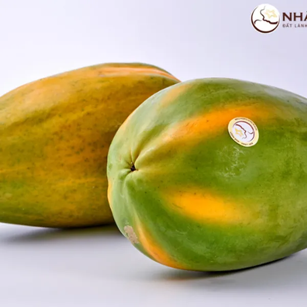 Đu Đủ Ruột Vàng Nhất Điền