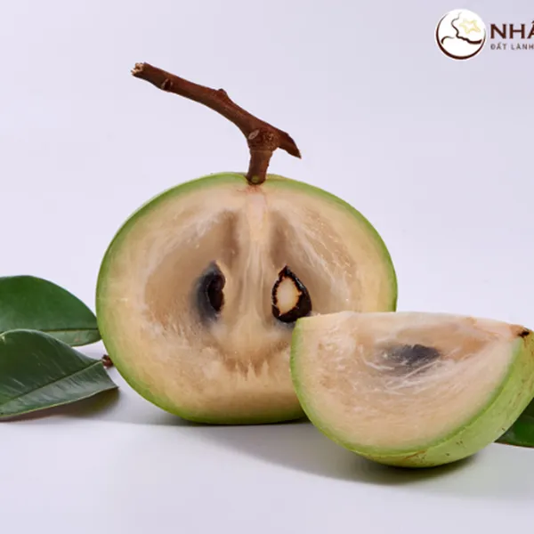 Vú Sữa Trắng Nhất Điền