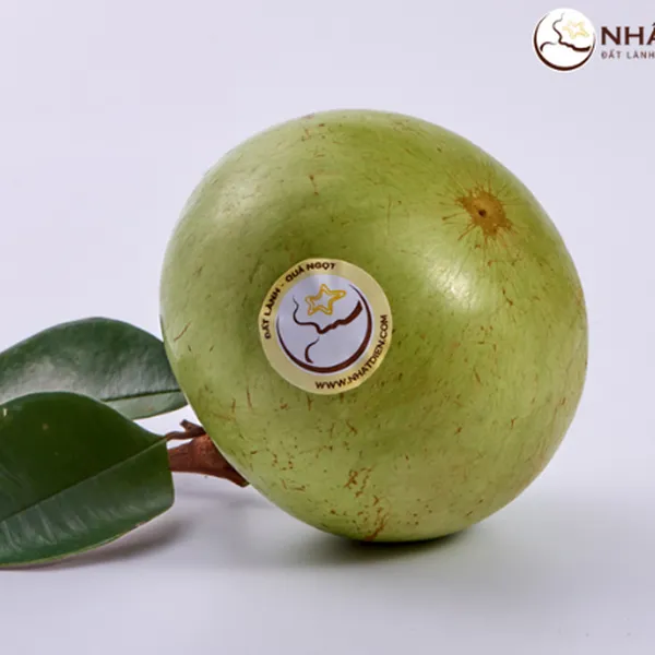 Vú Sữa Trắng Nhất Điền