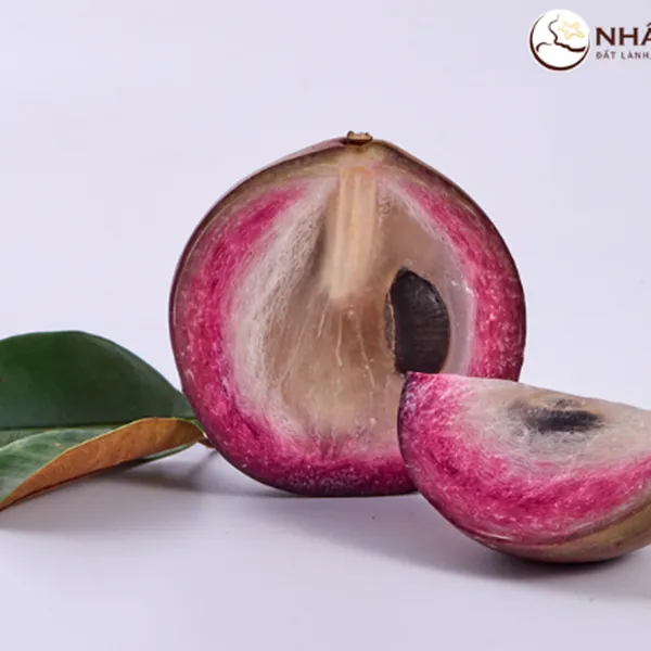 Vú Sữa Tím Nhất Điền