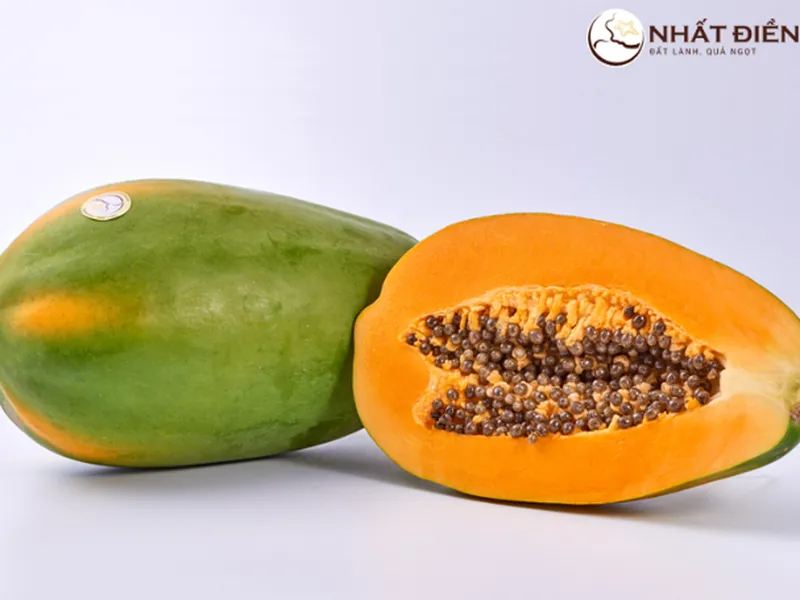 CÂU CHUYỆN ĐU ĐỦ CỦA NHẤT ĐIỀN