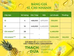 BẢNG GIÁ SỈ THẠCH DỨA GIẢM CÂN MATXI CORP