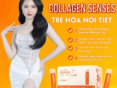 LẤY SỈ COLLAGEN SENSES CCWHITE Ở ĐÂU