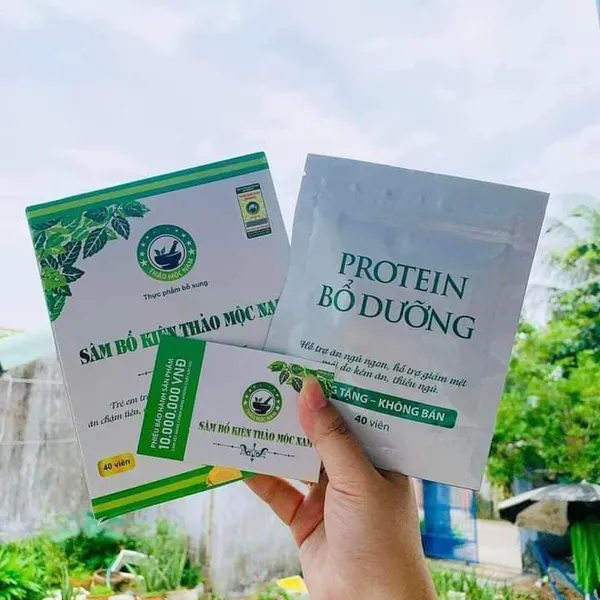 SÂM BỔ KIỆN THẢO MỘC NAM