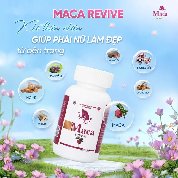 VIÊN UỐNG NỘI TIẾT MACA REVIVE