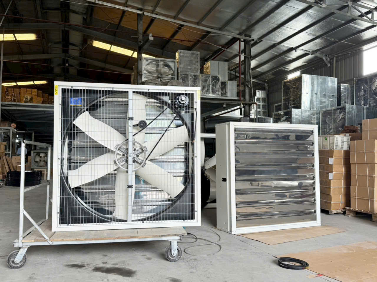 quat-hut-vuong-a quat-hut-vuong-a