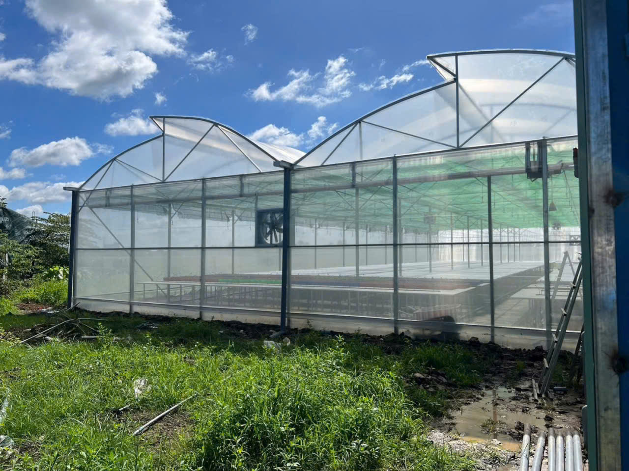 QUẠT HÚT VUÔNG 1100x1100x400mm QUẠT HÚT VUÔNG 1100x1100x400mm