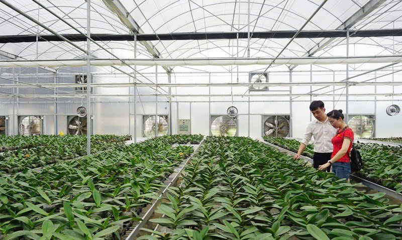 QUẠT HÚT VUÔNG 1000 3PHA QUẠT HÚT VUÔNG 1000 3PHA