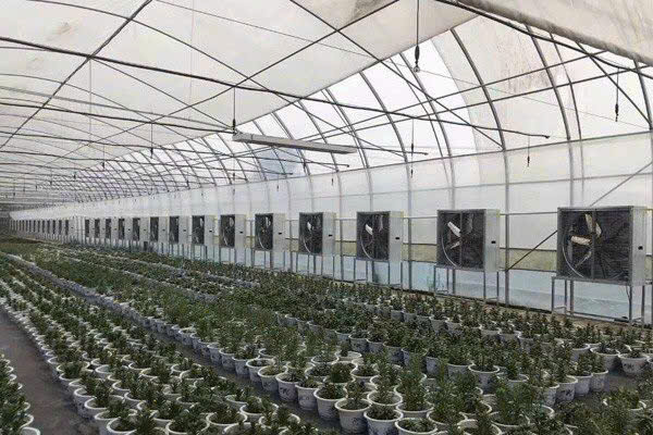 QUẠT HUT VUÔNG 1000x1000x400 -3pha QUẠT HUT VUÔNG 1000x1000x400 -3pha