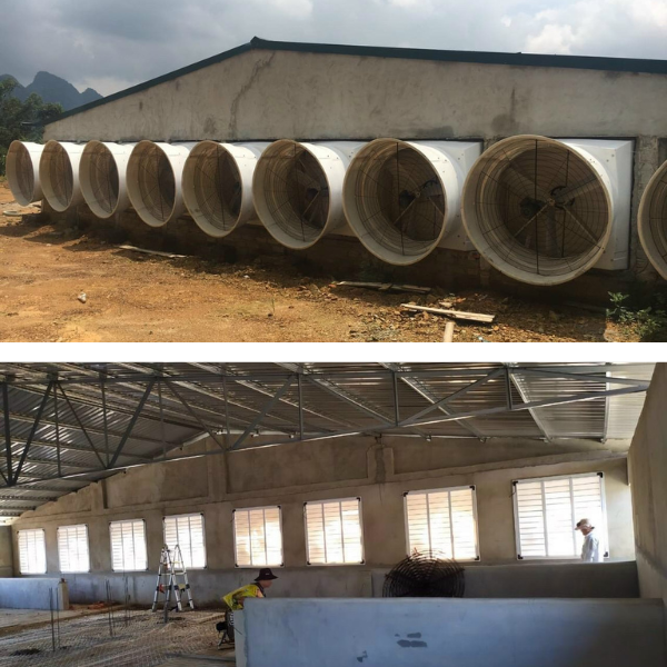 Thi công lắp đặt quạt hút công nghiệp composite Thi công lắp đặt quạt hút công nghiệp composite