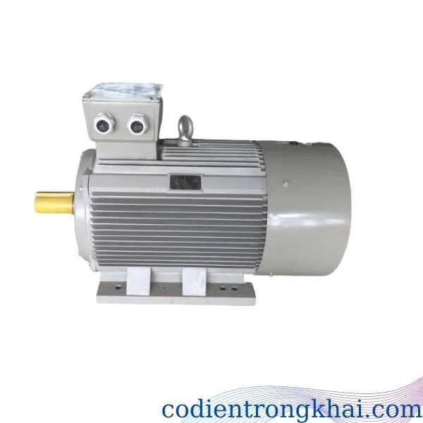 Motor điện
