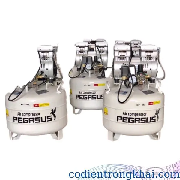 Máy nén khí Pegasus 40L Ko dầu