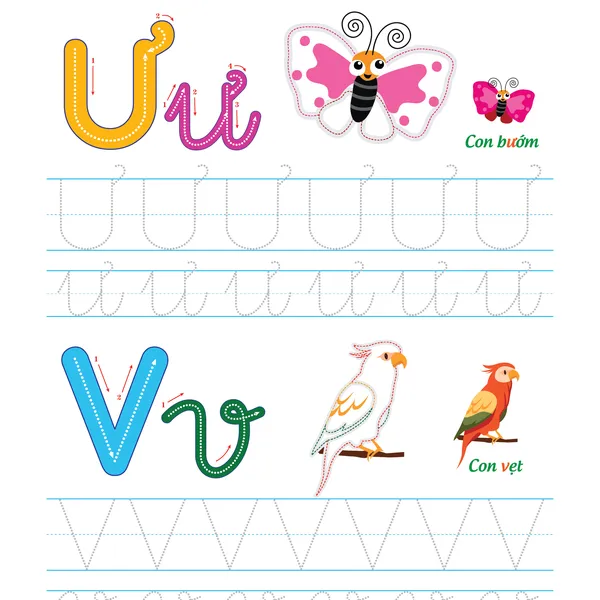 Bộ Tập Tô Vẽ Thông Minh