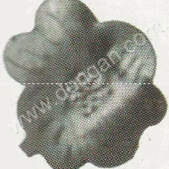 Lá thép dập (2267)