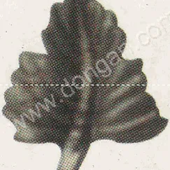 Lá thép dập (2269)