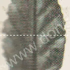 Lá thép dập (2270)
