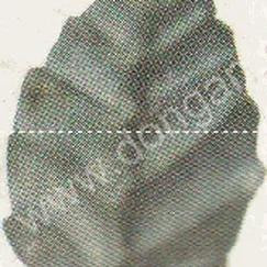 Lá thép dập (2271)