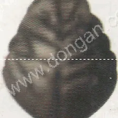 Lá thép dập (2272)