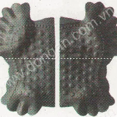 Lá thép dập (2289)