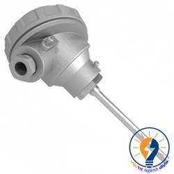 Đầu dò nhiệt độ Pt100 đôi , củ hành, dài 300mm, phi 8 cảm biến nhiệt độ PT100 đôi ( 2 cảm biến)