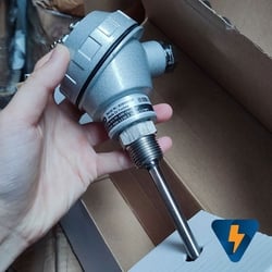 Đầu dò nhiệt độ Pt100 , củ hành, dài 100mm, phi 6 ren 1/2 inch , 21mm