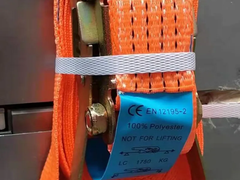 Dây cảo chằng hàng ở Vũng Tàu