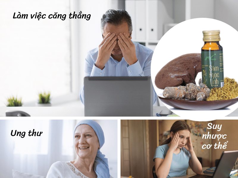 Nước uống rễ tơ sâm Ngọc Linh phù hợp với những ai Nước uống rễ tơ sâm Ngọc Linh phù hợp với những ai