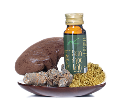 Sâm Ngọc Linh chứa tới 52 loại saponin Sâm Ngọc Linh chứa tới 52 loại saponin