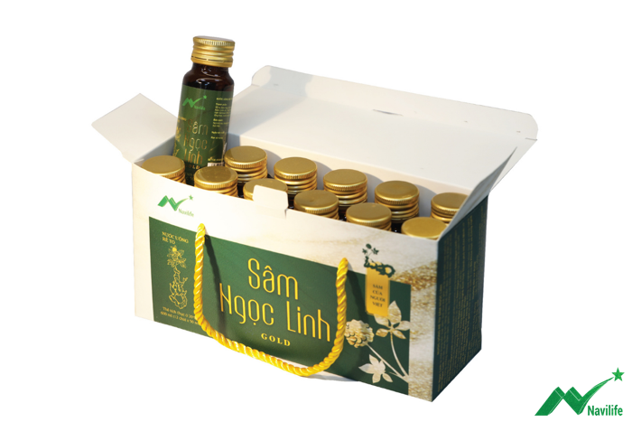 Sâm Ngọc Linh Sâm Ngọc Linh