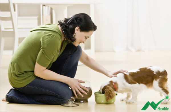 Tăng cường sức đề kháng Tăng cường sức đề kháng