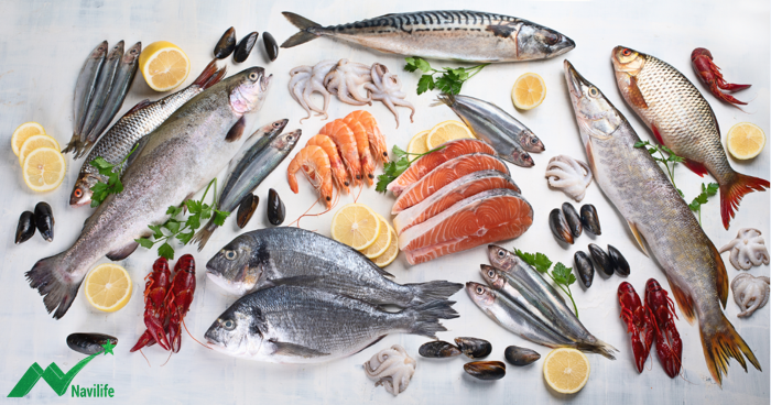 thực phẩm tăng cường sức đề kháng thực phẩm tăng cường sức đề kháng