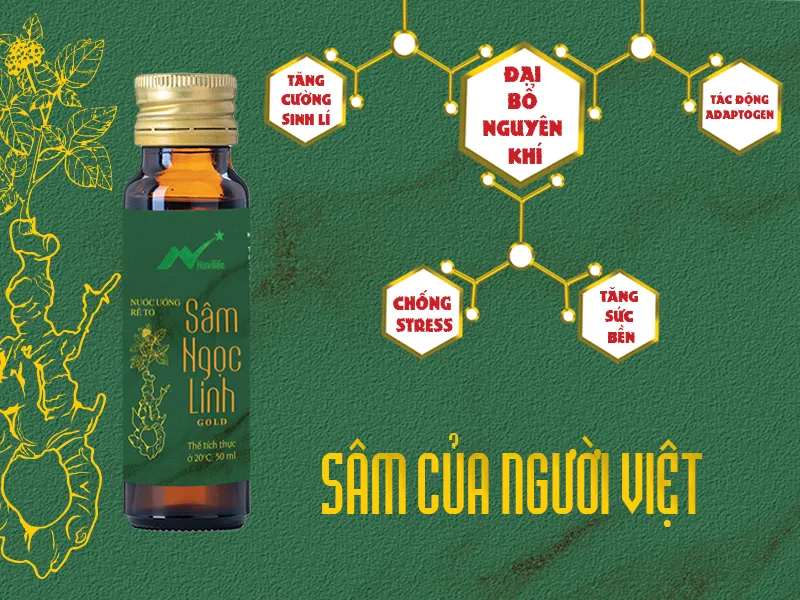 Rừng xanh - nước thiêng và Sâm Ngọc Linh Navilife